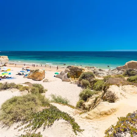 Casa Dos Avos By Vintage Travel 别墅 吉亚